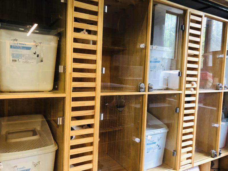 这家开了15年的老店，是如何将小心思带进新分店的？