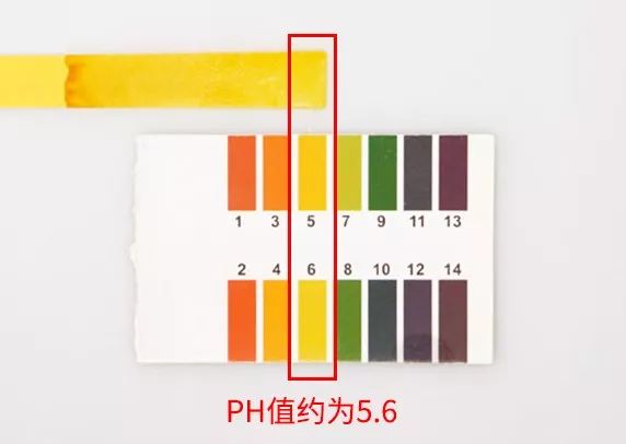 60岁大妈装嫩,50岁大妈装嫩卖萌现状