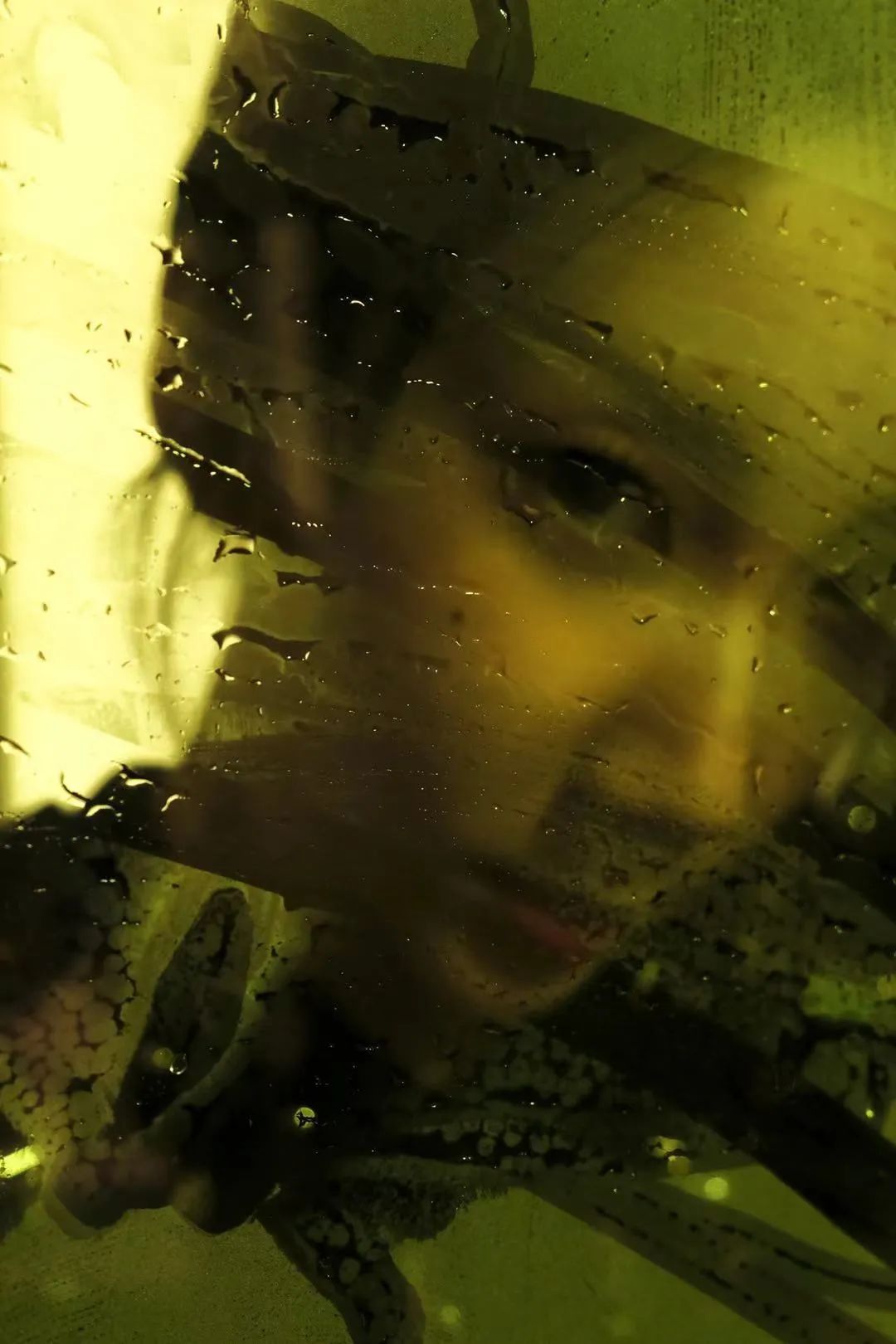 乃万曾可妮直播,纪梵希女包值钱吗