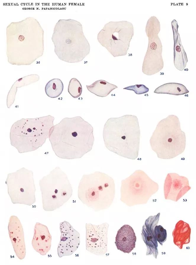 这位医生在妻子身上做了两年研究，挽救了数百万女性的生命