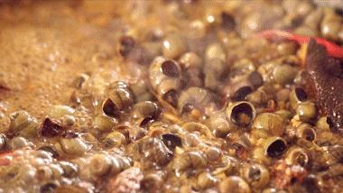 中国人吃螺的地方 (中国人吃螺地图高清版)