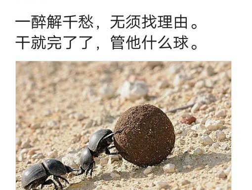 只能自己摸索前进文案,在摸索中前进是谁说的