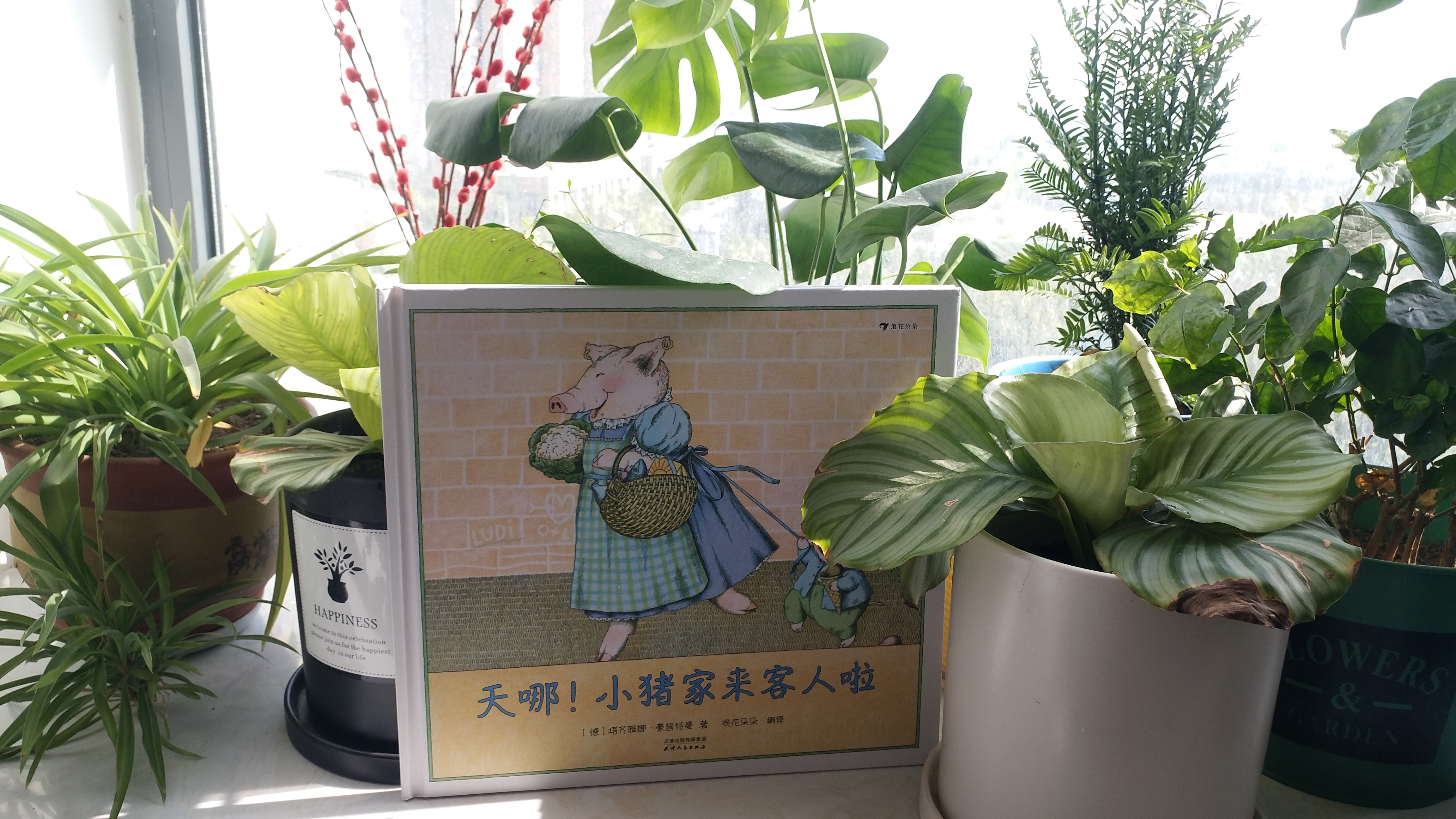 儿童房间剪纸设计,小猪剪纸手工制作大全