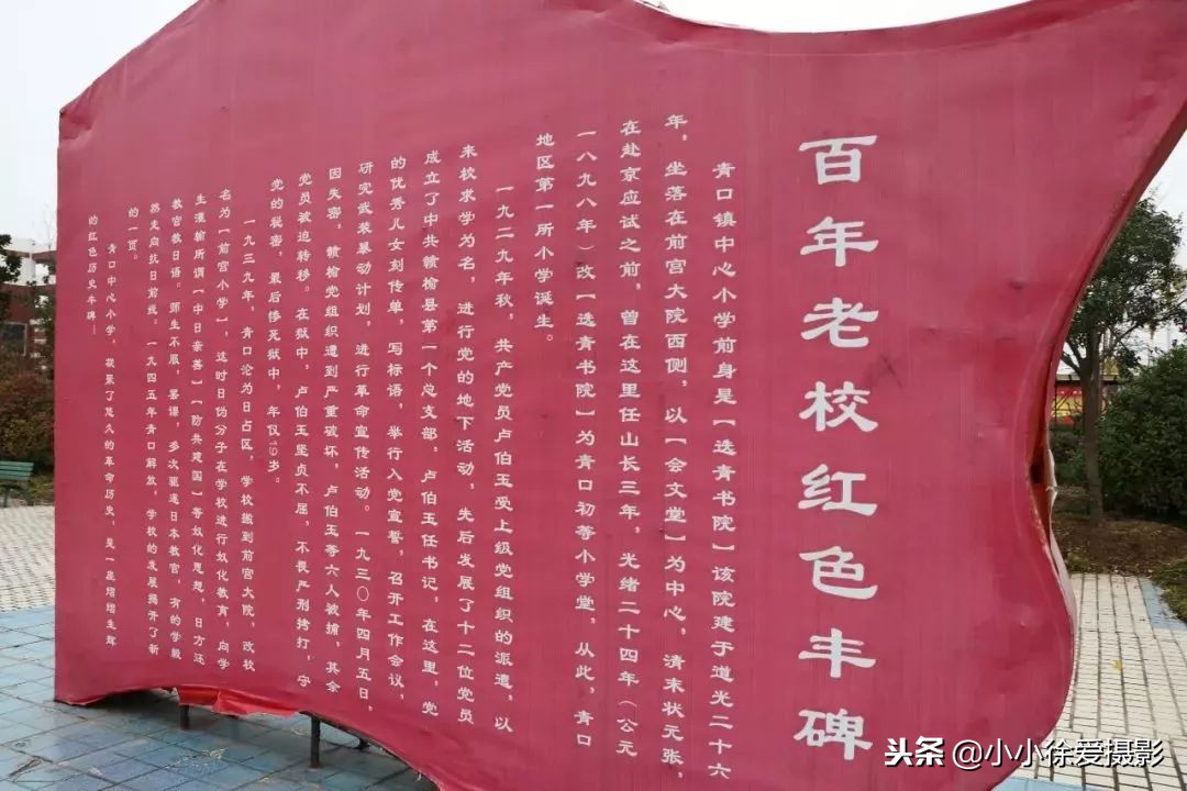 青口中心小学校,闽侯青口中心小学在哪儿