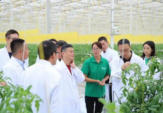 马云原来的样子和现在的样子,真实的马云现状和经历