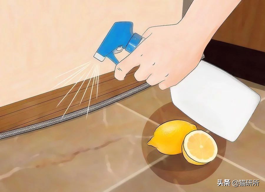 有什么办法防止猫咪咬家具,如何有效防猫咪抓坏东西