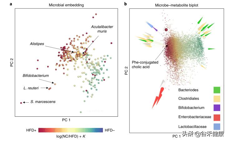nature生物领域期刊,nature生物医学综述期刊
