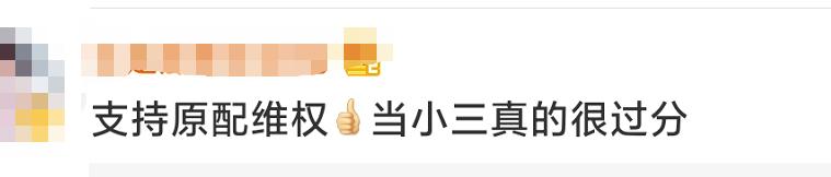 陈绮贞宣布分手是真的吗,陈绮贞绯闻事件