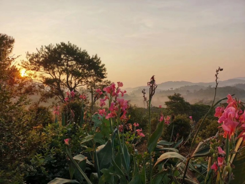 敲落一段星光谱一曲马背上的牧歌