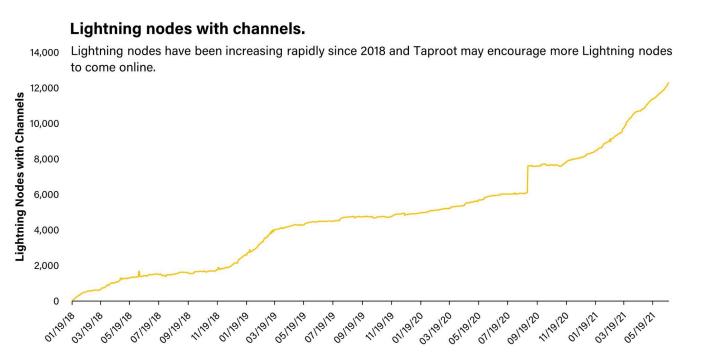从投资者视角全面洞察*币特比**Taproot升级