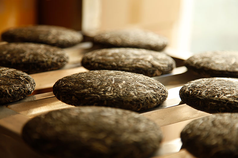 普洱沱茶和普洱茶有什么区别,普洱茶饼和茶沱哪个好