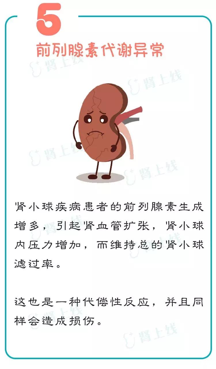 慢性肾病三期还能不能治愈,慢性肾病一定会发展尿毒症吗