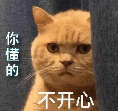 预防应激！6招帮猫咪减少焦虑