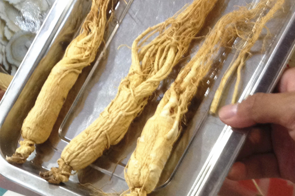 海狗丸男士,男性必备药海狗丸是什么药