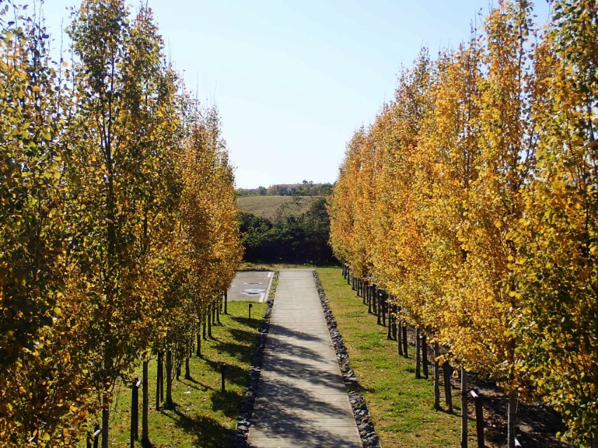 日本从南到北旅游路线,从南游到北