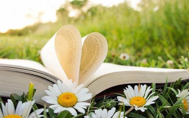 你生而有翼，为何竟愿一生匍匐前行