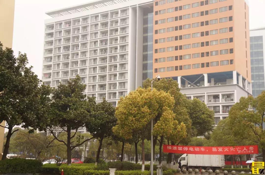 西交利物浦苏州校区,苏州西交利物浦美女