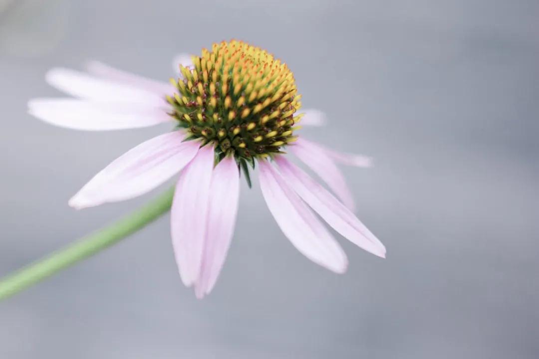 踏踏实实走脚下的路精彩语段,朗读走自己的路