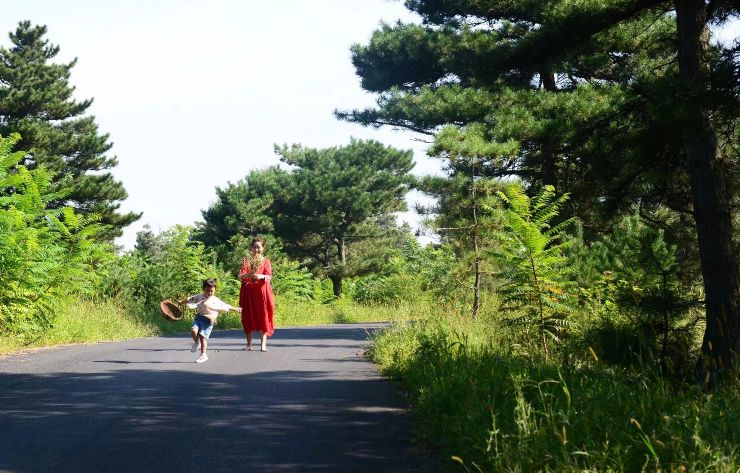 康平周边五一自驾游免费景点攻略,康平县夏季旅游