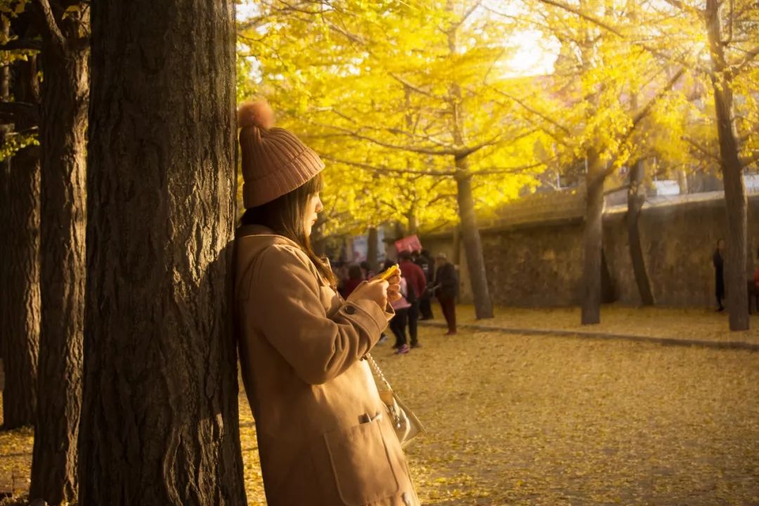 忽然想去旅游了,忽然想去宁波了