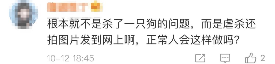 高校研究生杀流浪狗,成都高校研究生虐狗事件