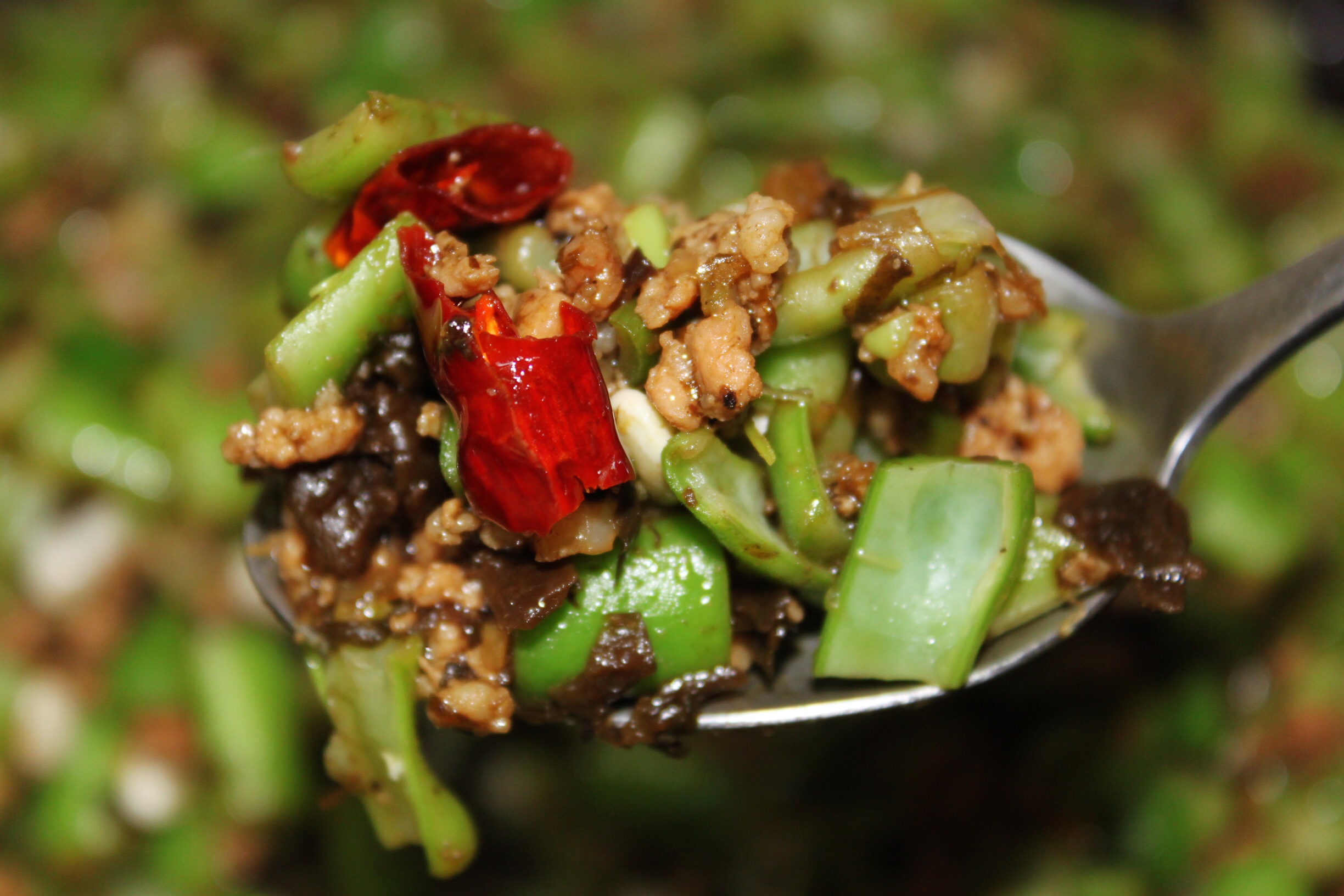 粤菜肉末橄榄菜四季豆的做法大全,橄榄菜炒四季豆的做法窍门是什么