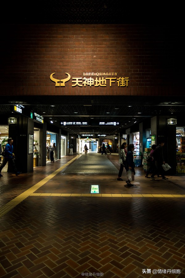 邮轮游选择哪个游轮好,邮轮旅游全攻略公主号