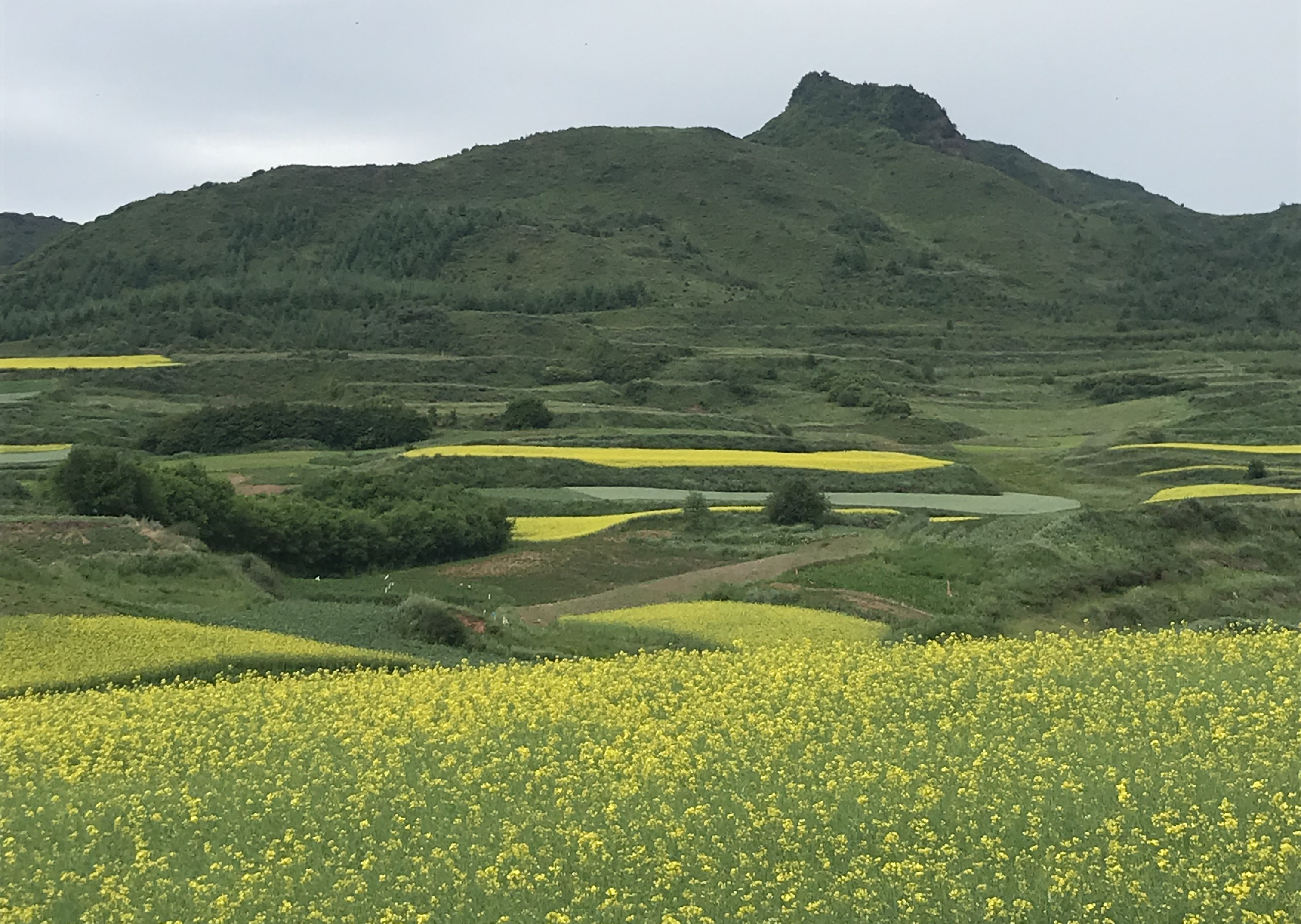 甘肃省渭源县在哪个省哪个市,甘肃渭源县在哪个市