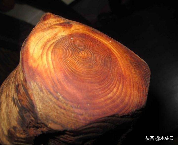 木材本身什么味道,未见其木先闻其味什么意思