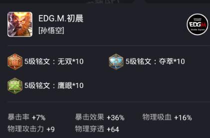 王者荣耀猴王初晨,王者荣耀怎么成为王者