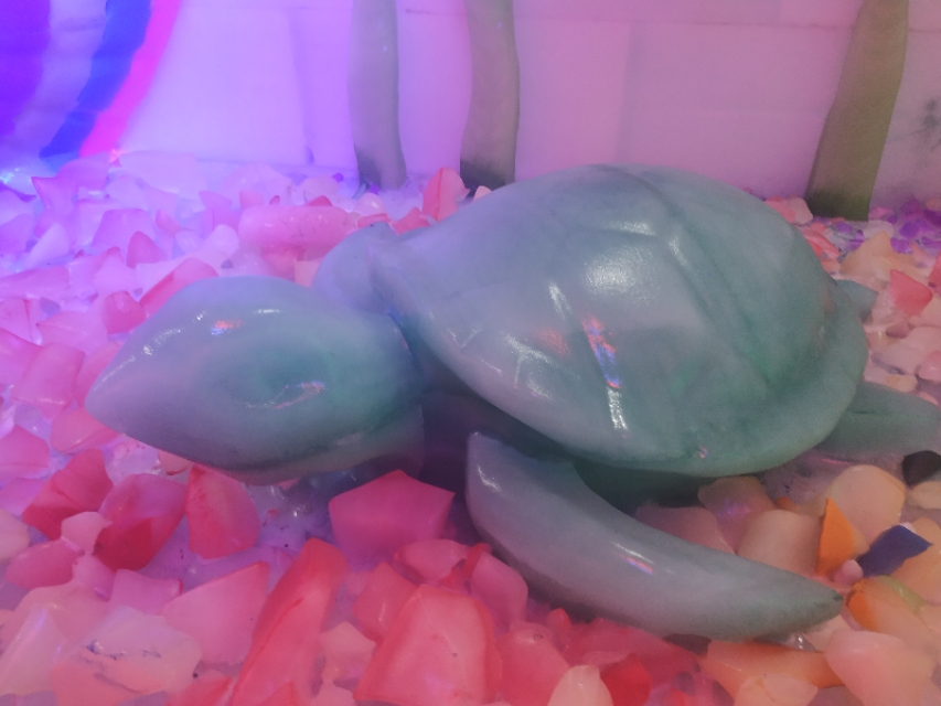 珠海神秘岛两大两小套票,珠海神秘岛乐园