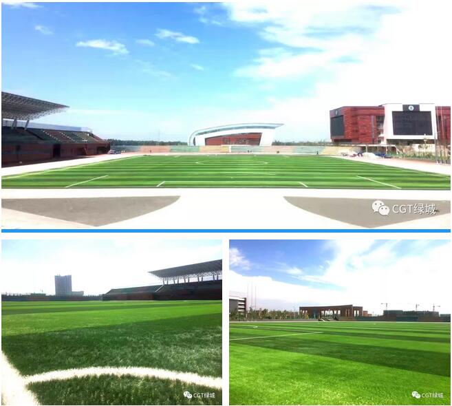国外人造草坪足球场,高端人造草足球场