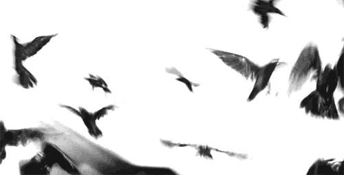 聚划算扣点,聚划算领券在哪里