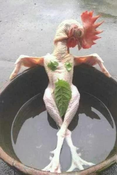 get何穗同款牛奶肌！秋冬去鸡皮，黑黄皮必入