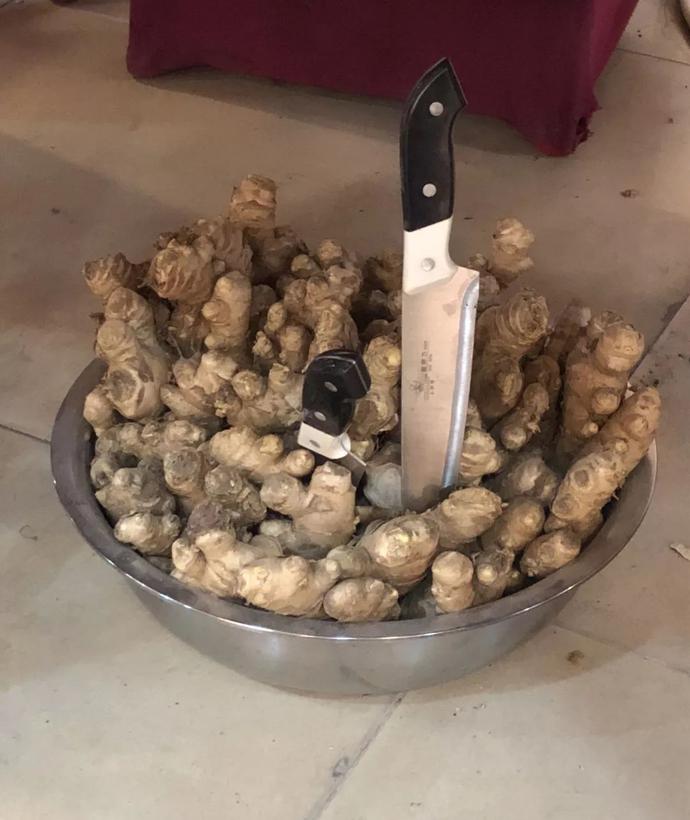 世界上有没有过赌神,世界上有没有真正的赌神