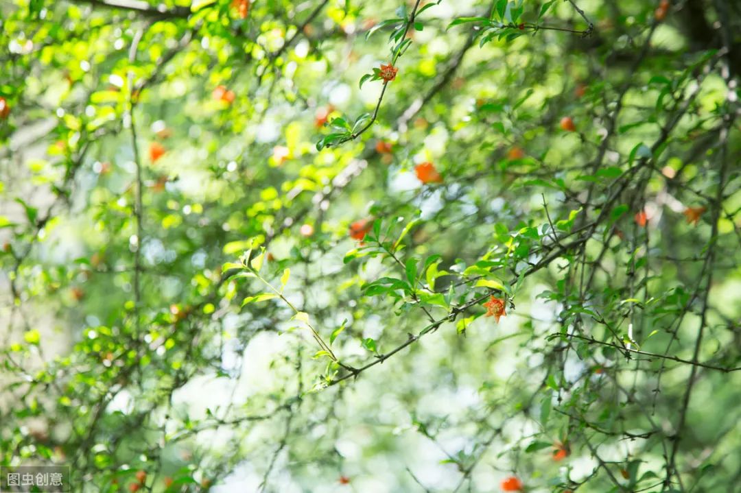 牛街属于南城吗,牛街名字的由来