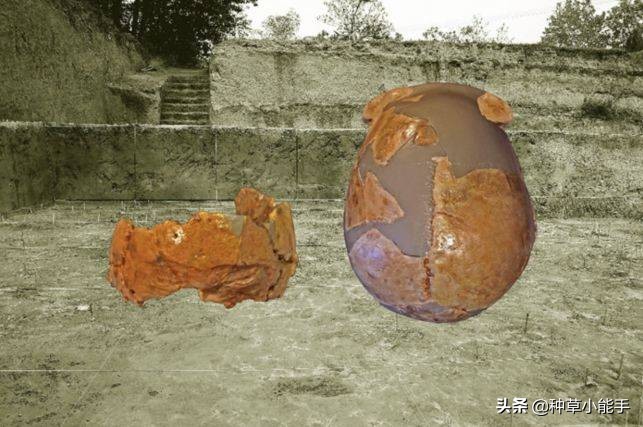 突如其来的下一句,突如其来是种什么感受