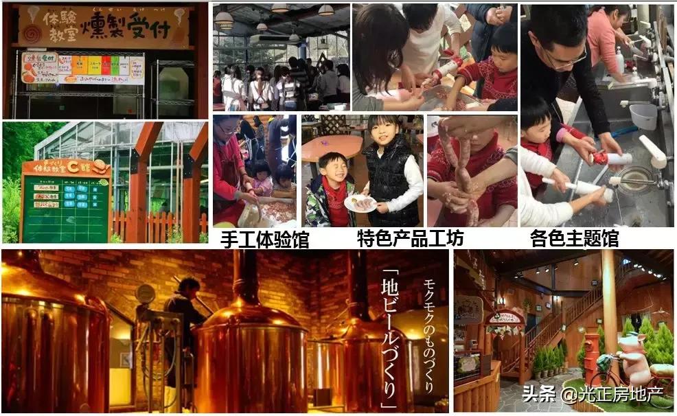 亲子游乐与乡村振兴,乡村振兴与旅游结合的优秀案例