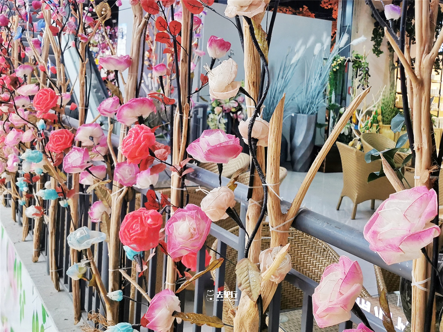 中国最大的鲜花批发市场在哪里啊,中国最大的鲜花市场