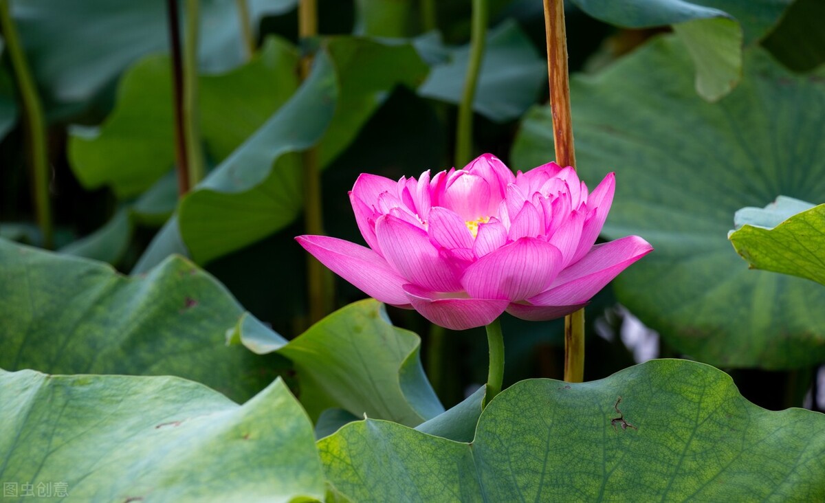 产科女医生的故事,妇产科门诊精彩故事