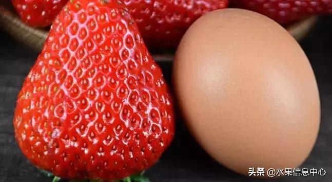 中国水果大全,中国水果大全图片和名字