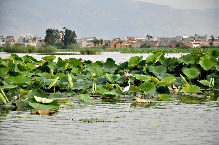 鍒濊瘑闄嗚壇,杩藉繂闄嗚壇