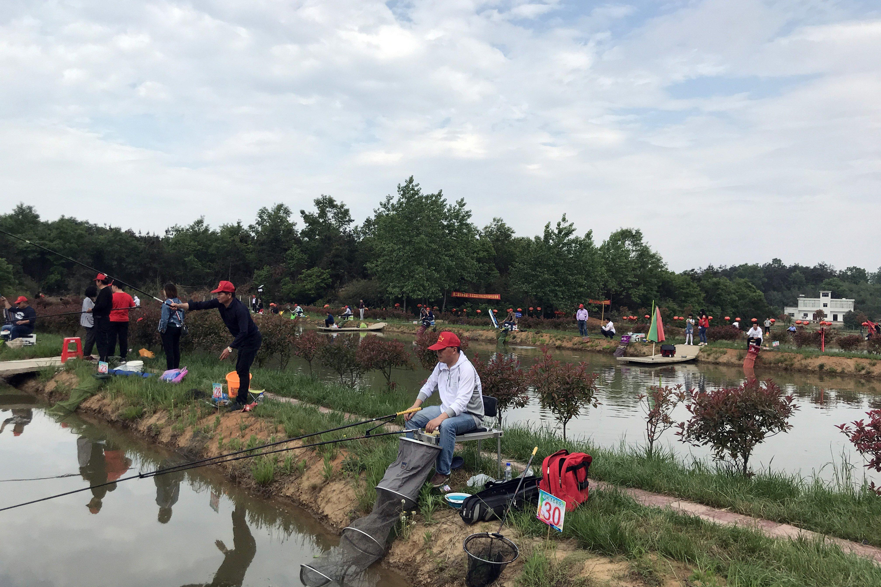 野钓小药的味型和使用方法,黑坑钓鱼小药搭配使用方法