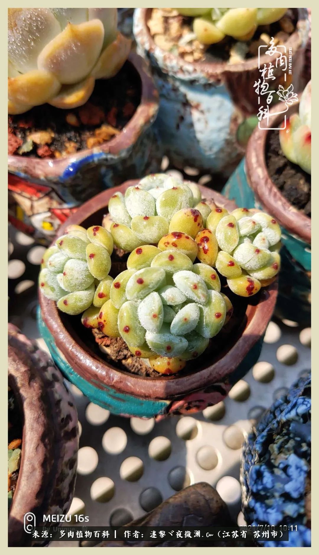 秋尽冬来岁月不居时节如流,岁月不居时节如流水