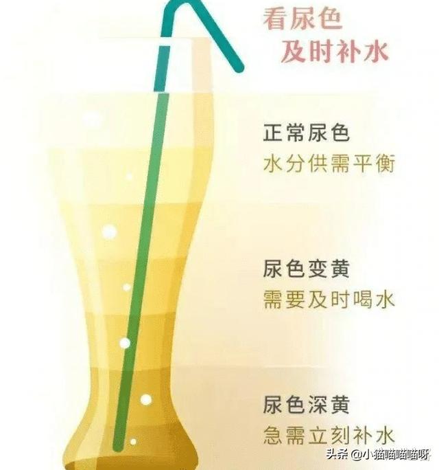 新交的女朋友注意什么,新交的俄罗斯女友