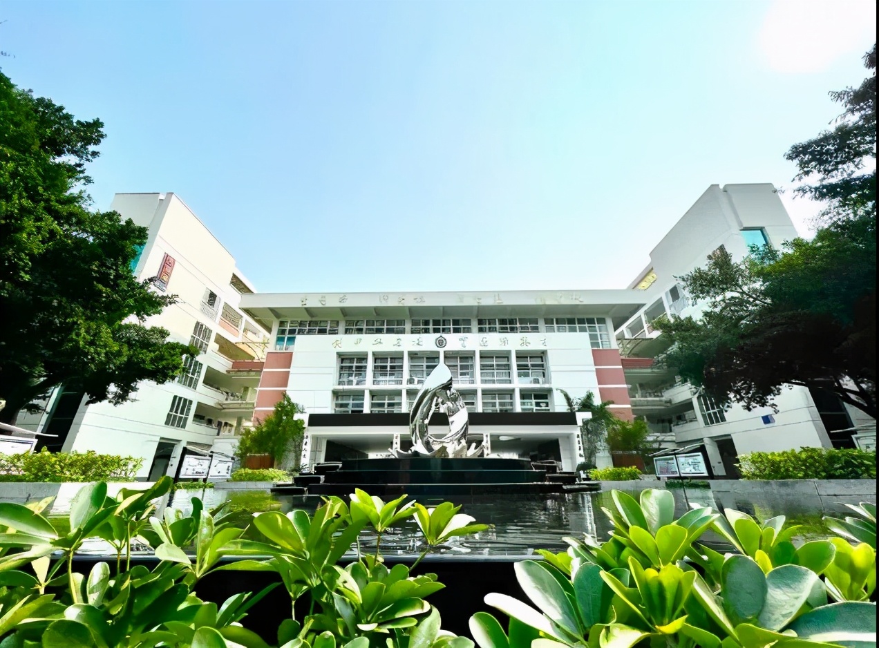 锦江三区对应小学,锦江一区三所小学怎么选