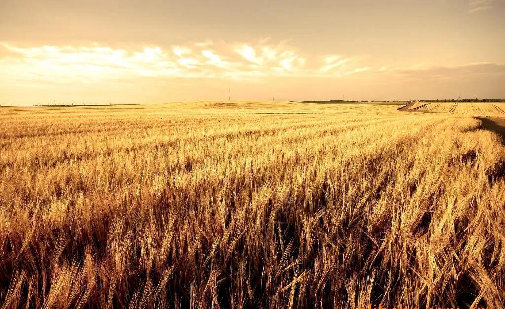农村铺床经典顺口溜,来整理一下农村顺口溜都是经典