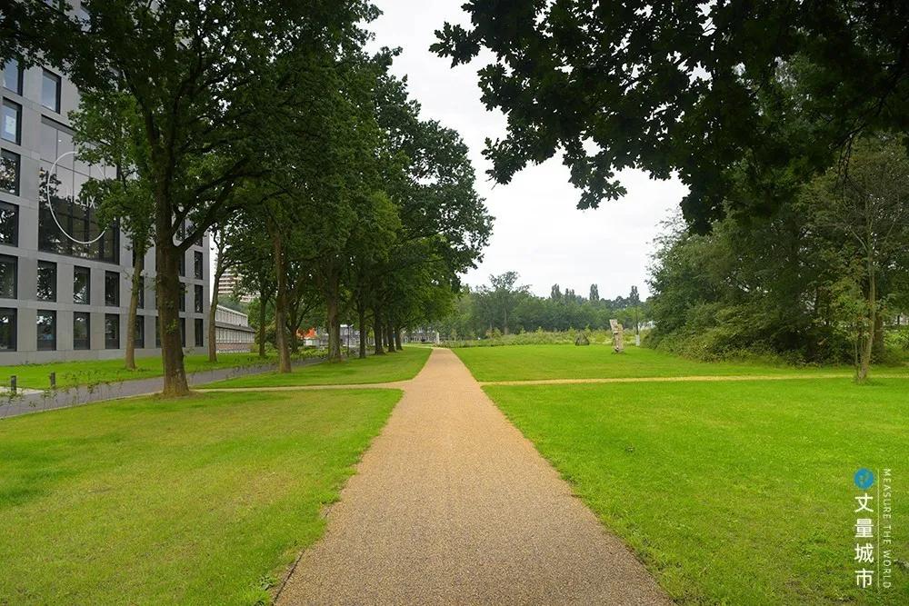 5.16国际牛奶日,每天一杯牛奶强壮中国人