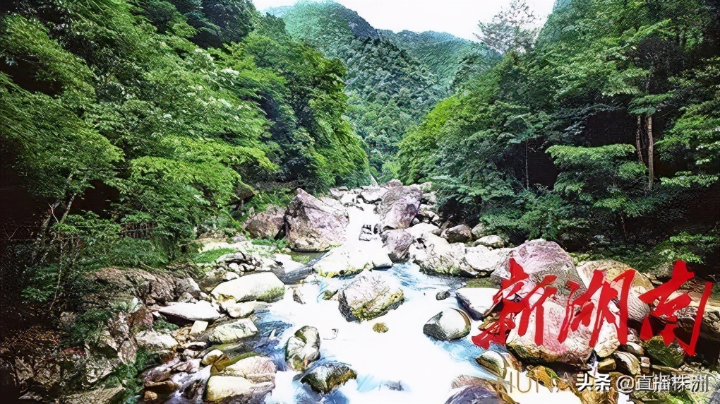 湖南日报最新新闻报道,湖南日报视频