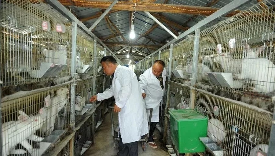 干部下沉,干部下沉一线